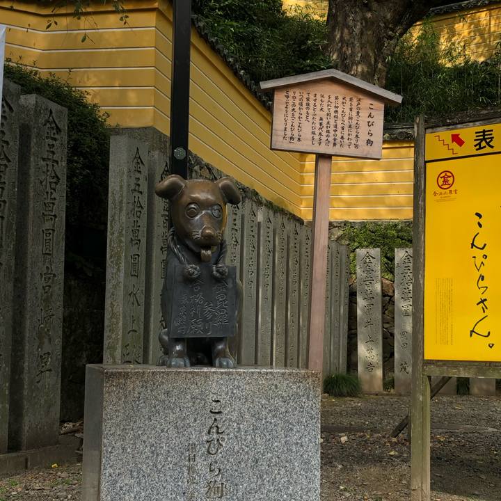 38cbbf35 b29e 4d68 b271 e3c9ca9f56a1 1570281107976