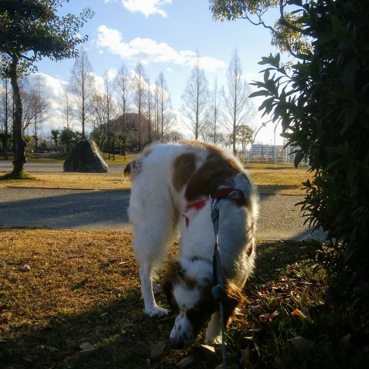 38cbe07e 217b 406e b8c7 f7d146278ca7 1548502382933