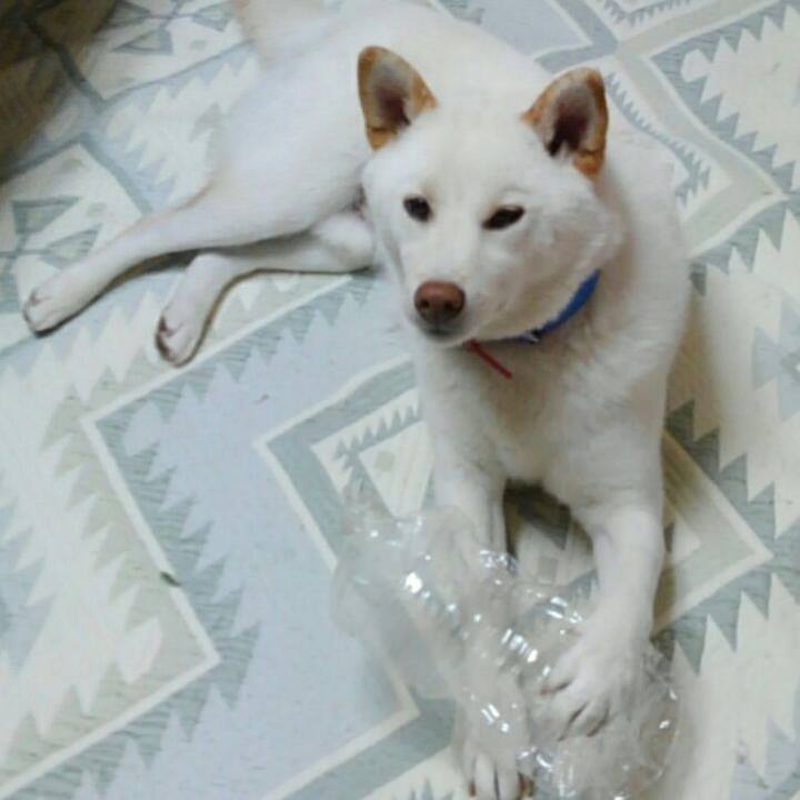 38cbedb9 c9e9 4ac0 9267 aa19012d28b0 1515667138241