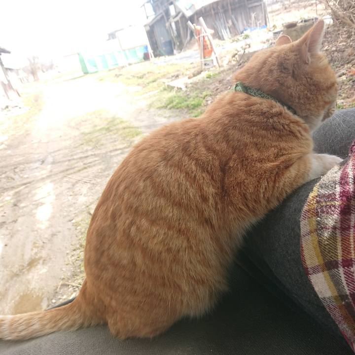 38cbf9d6 7fe4 44b1 b63e d8c5a80d69d5 1583032491887