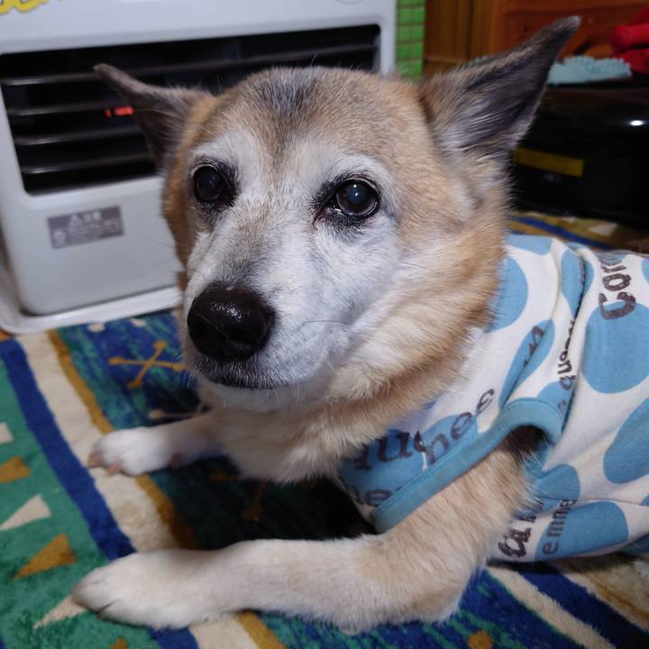 38cc0c06 aff1 4d82 afcd bf29a55094f7 1709789454379