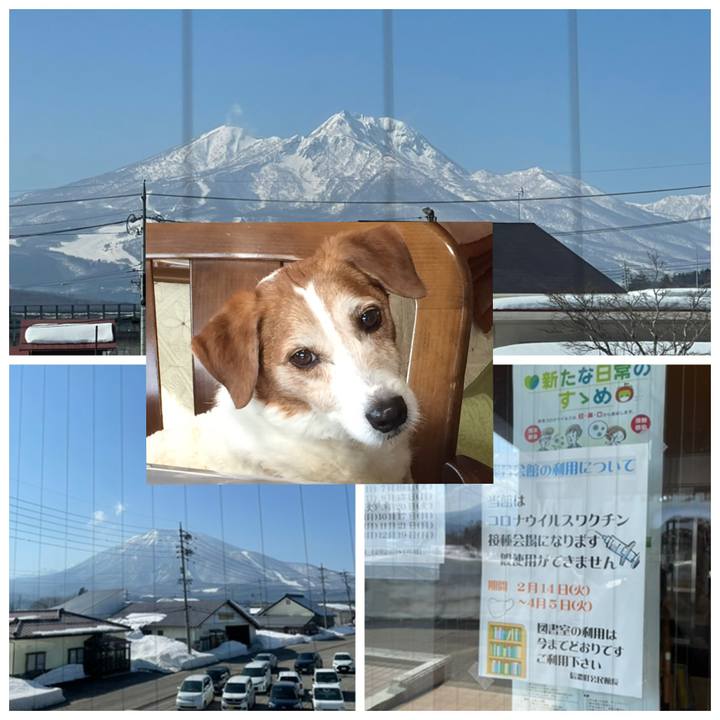 38cc0dd3 0ef8 4395 8e79 466bfbd876cf 1646899057353