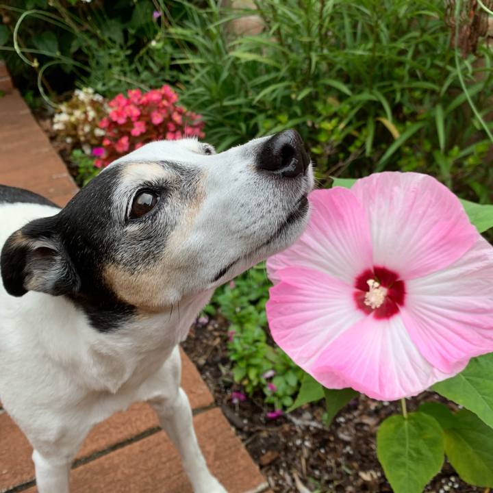 38cc1619 4f5d 47d3 9af2 bf2a9f718e2a 1592949810988