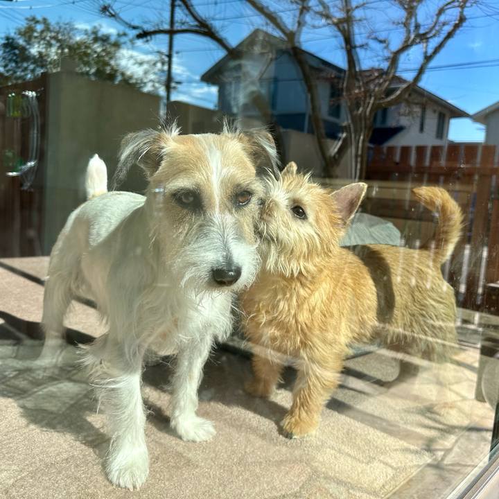 38cc23e4 af14 4b24 b3a9 750084a80247 1707649408409