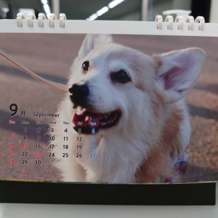 38cc2bfd 65a6 43be a6a0 87b69d0e7ff7 1756732230098