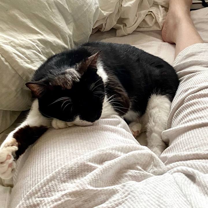 38cc2e76 0cc7 467e 8d32 f235ae96fcef 1602480281684