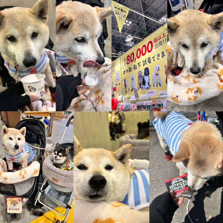 38cc3dd4 fd4b 43c7 8cee ec0e79476b06 1743773632194