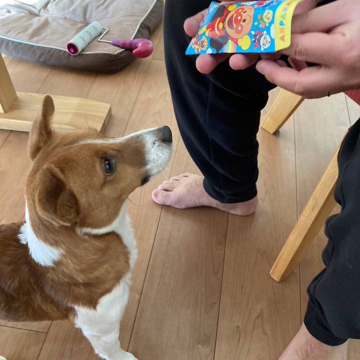 38cc6e4a d0b8 4609 bde7 17553fcffa19 1672538113880