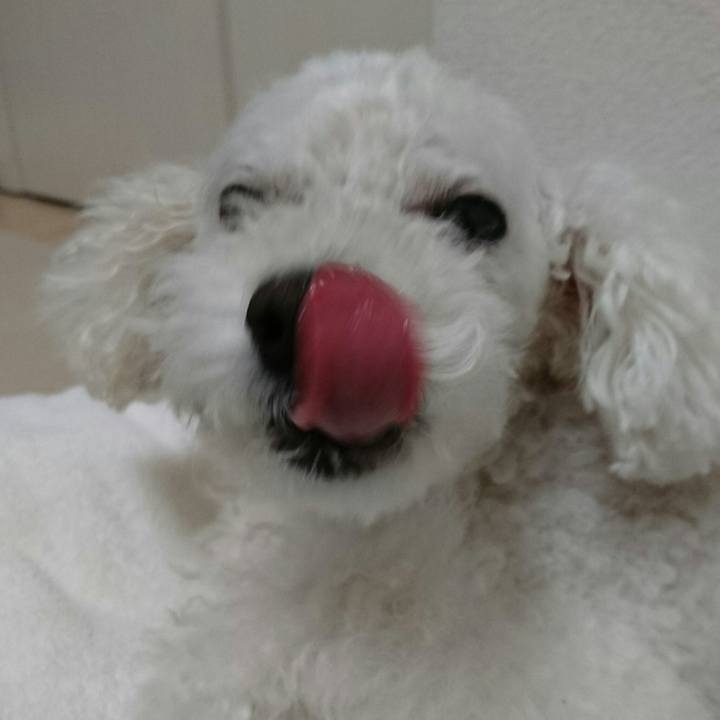 38cc7986 feaf 49bf a666 c9c26408edd3 1536755958438