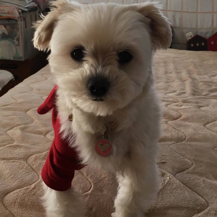 38ccdb1e 98db 42a9 ad5d 3b8f2c5ad682 1520077053527