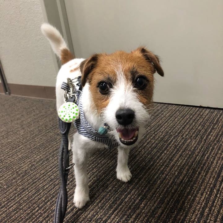 38cce89f 2e1c 4080 8ffd 442ff715d9de 1562484496874