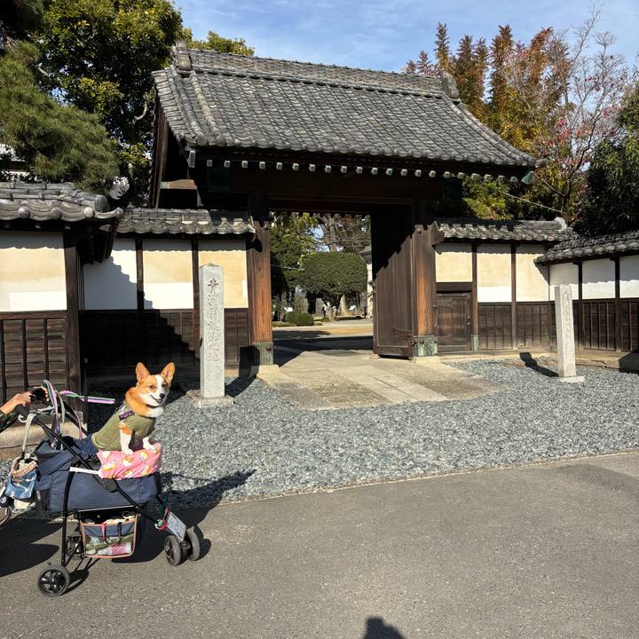 38cd03fd 2701 4252 aa30 5d83b87f7b24 1763958921093