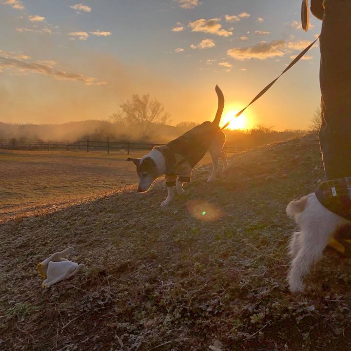 38cd0ce6 ccba 46e0 a3b3 ba2b7237d757 1546306379147