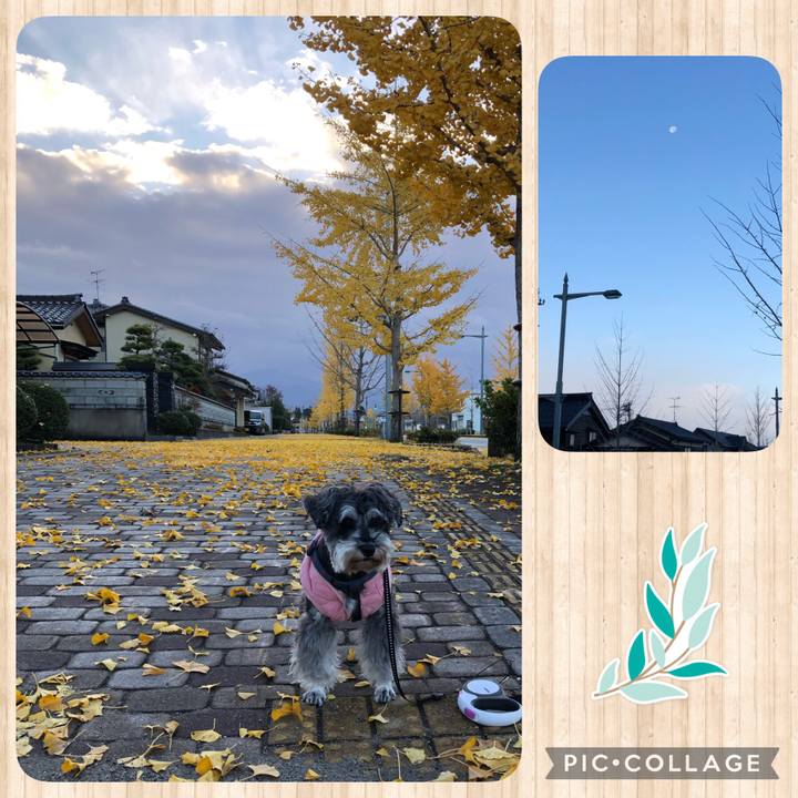 38cd4e95 142a 4a4b a198 42546f6d6332 1637639705993