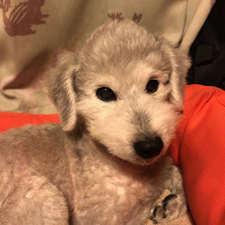 38cd5e19 8cdb 4e17 826c d00cb6a9124a 1589282383511