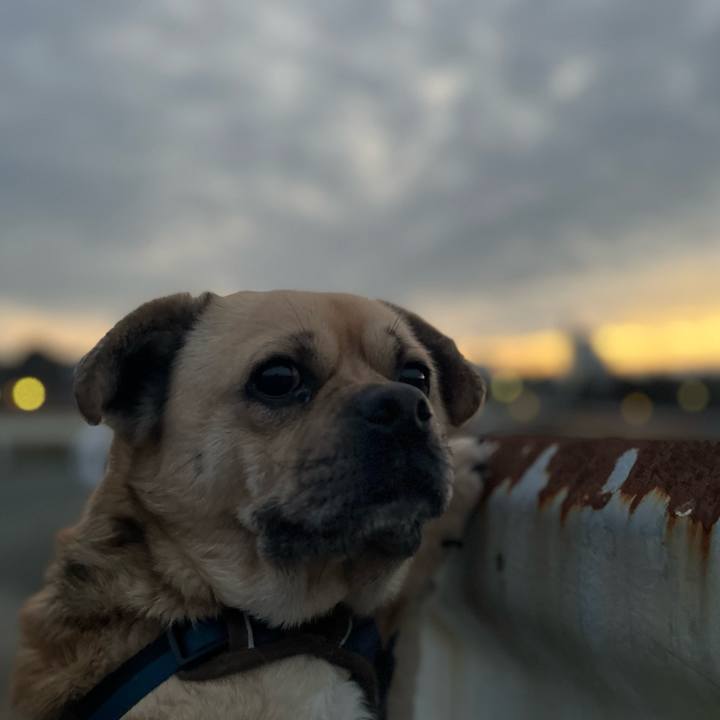 38cd72f1 b7f0 4c74 a5ea e65f61c7ced9 1771457912236