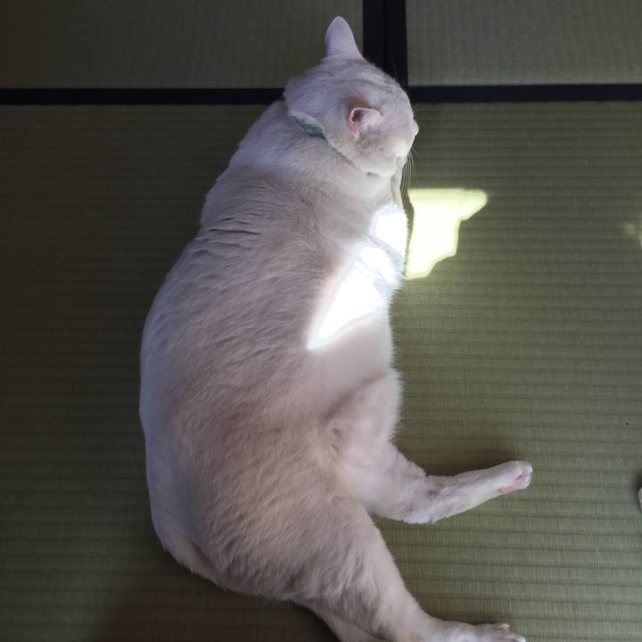 38cd8bef b7d6 4c2b 89ed 1eea55bb8605 1520041102864