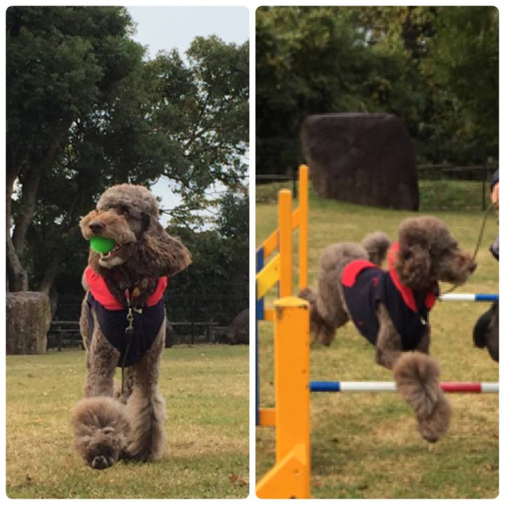 38cd9d3e c8aa 4074 8d9c 878c9ce5ec9c 1511594002250