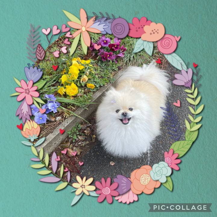 38cda66f 163f 4c7e ad7c a2ef63bae39b 1648078714912