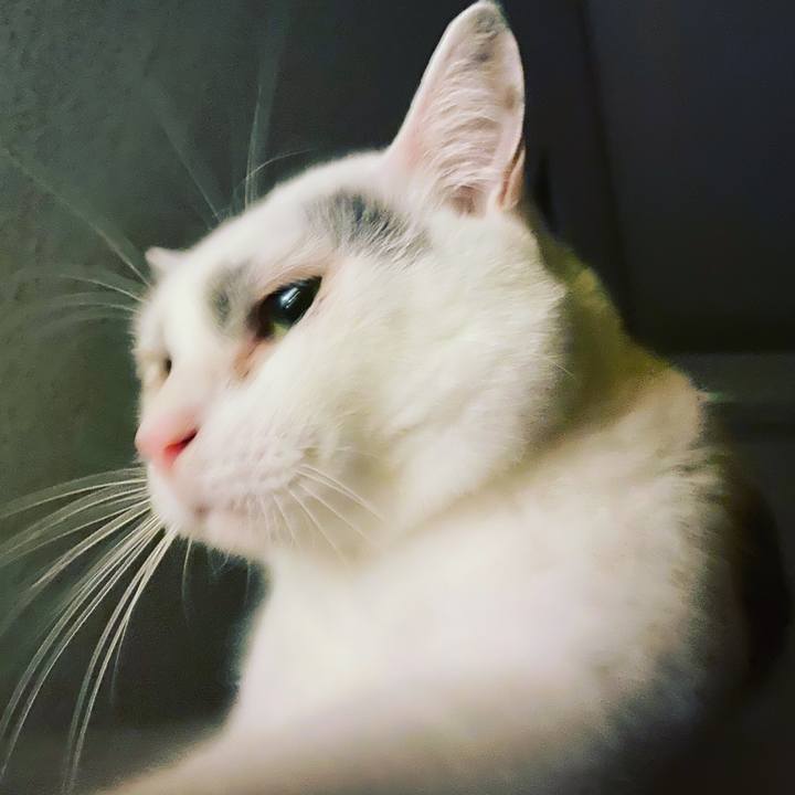 38cdb9ee 0df7 4a2a 80cd c37b2b7fa9fb 1577374704773