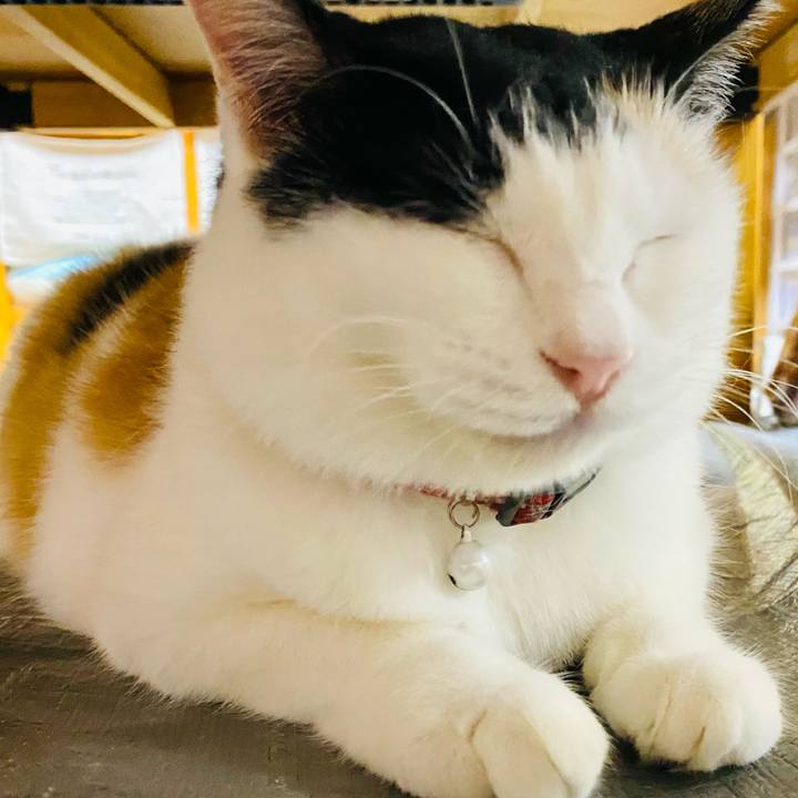 38cdbb9c 9212 48e4 8a69 1bc04db79e8f 1691586155084