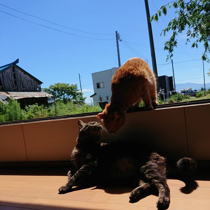 38cdc6e5 ec5c 484b b3ce 523376e13ad3 1661740568106