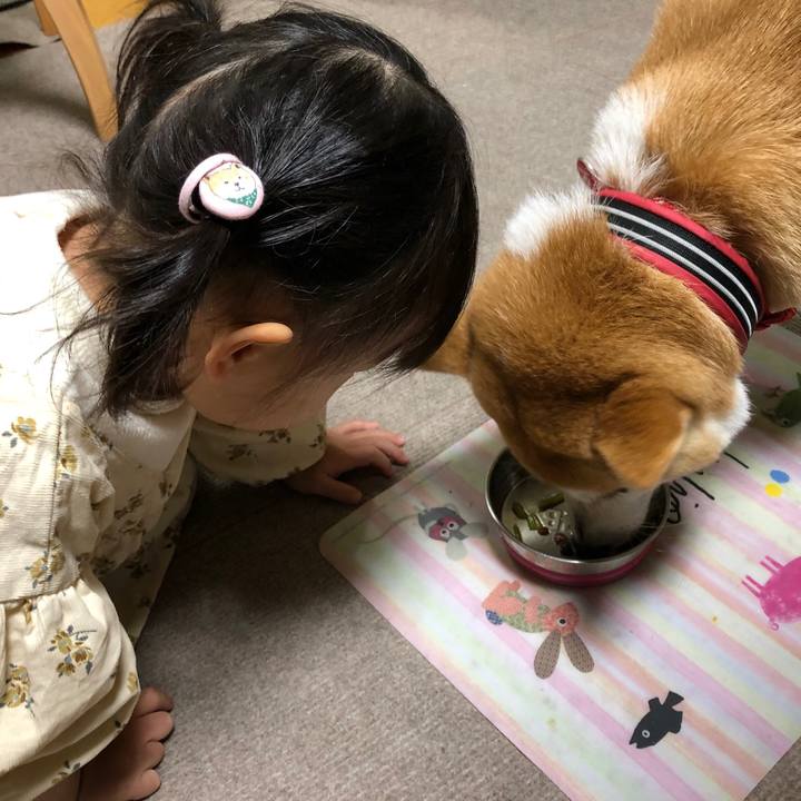 38cdd6f0 36bc 40d6 a7a0 2aef47567fea 1582424558216