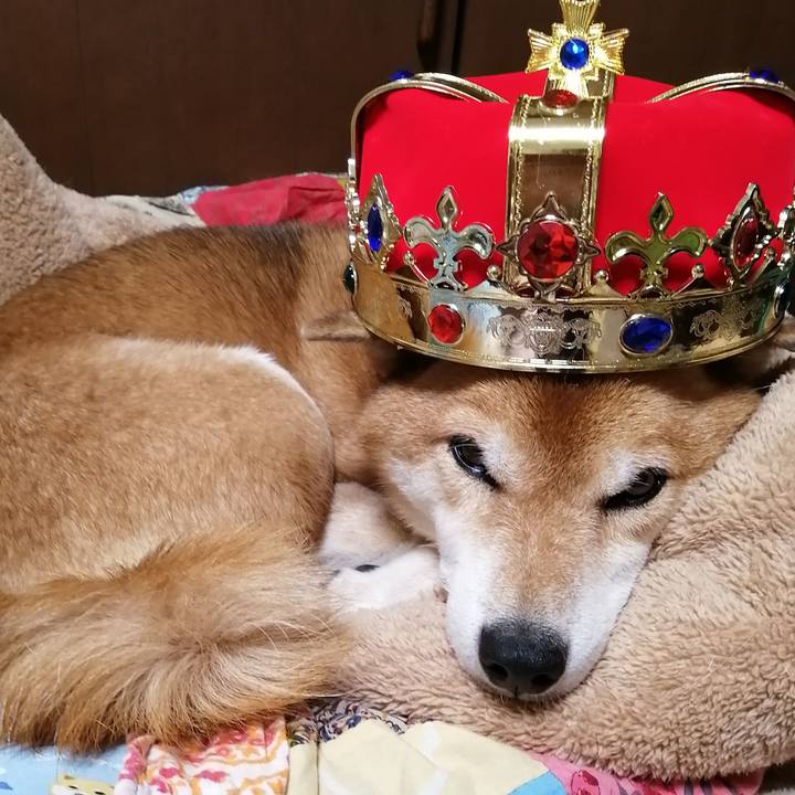 38cdfa6a 90c5 429a 8899 33aac844173f 1666780821913