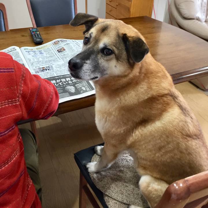 38ce2aa8 347f 42b8 b483 0935cba21b6d 1519778903007