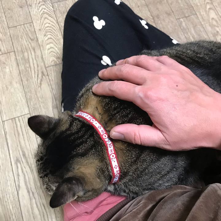 38ce4ab4 ab49 4717 8231 5481bb349395 1639230282378