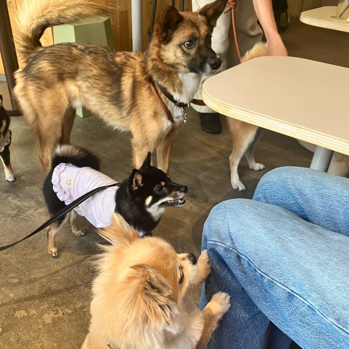 38ce91e8 20d8 4d58 a01a a704871d0d9b 1753194474698