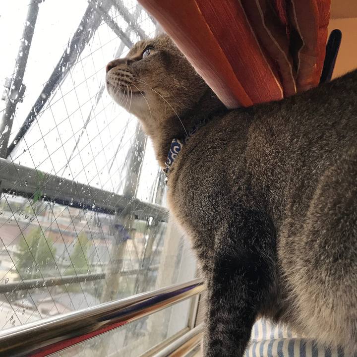 38ce93f6 1584 468f 8262 23e1adecb6fd 1538303569392