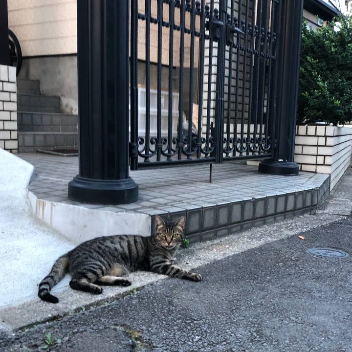 38ce9af1 a8d9 4727 82a6 149340c92446 1533243172800