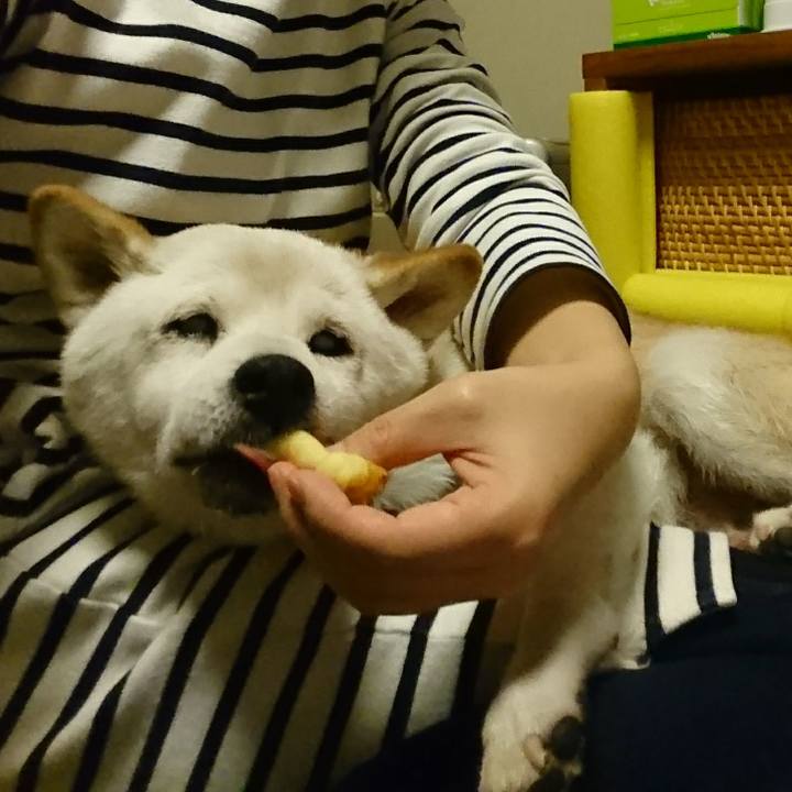 38cea216 12cf 45ed a3bb 372923412a65 1509175114709