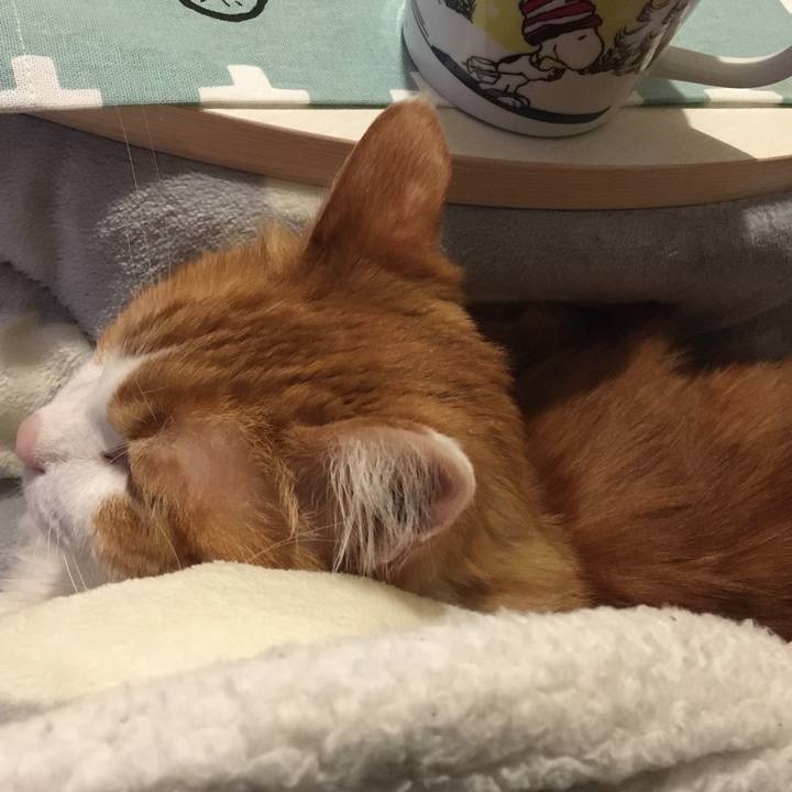 38cea919 7e5f 476c 92ad 79b874f7b3a1 1575301294547