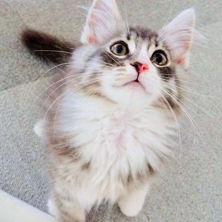 38cee8d6 3049 46f8 b825 dfccb94a5c46 1535195469154