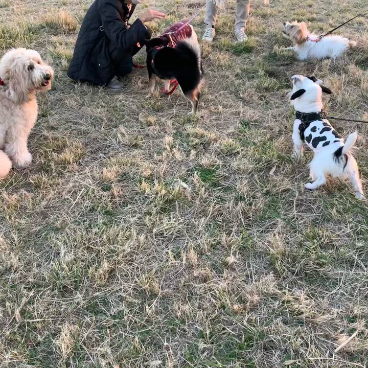 38cf1d64 0d62 4799 b48f 9ebaa9d2357d 1670486019398