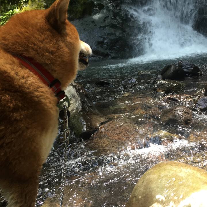 38cf32ea cb73 4ed0 81ad 14307a139b78 1530527127971