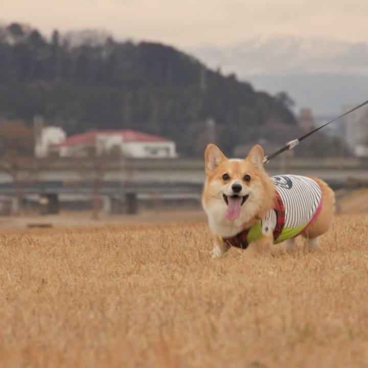 38cf4364 74b7 4fbe 9c21 0f06150d86c1 1579427105847