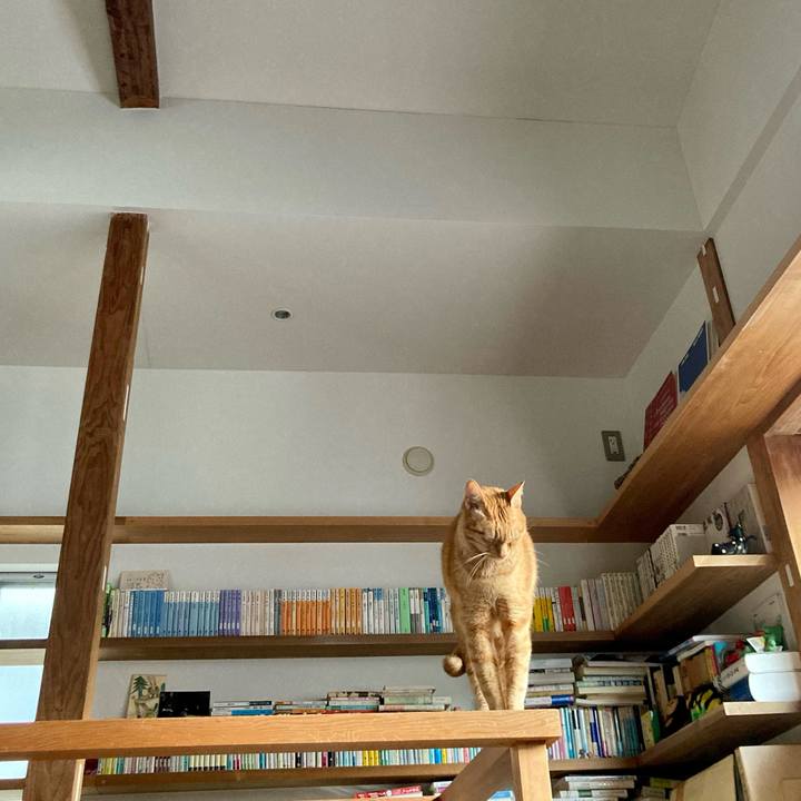 38cf439d 42df 47ab a68e ee95d197af4c 1612570500843