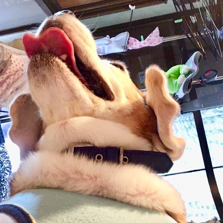 38cf99f6 6d34 474e b5e9 e7c452c5dada 1568183445271