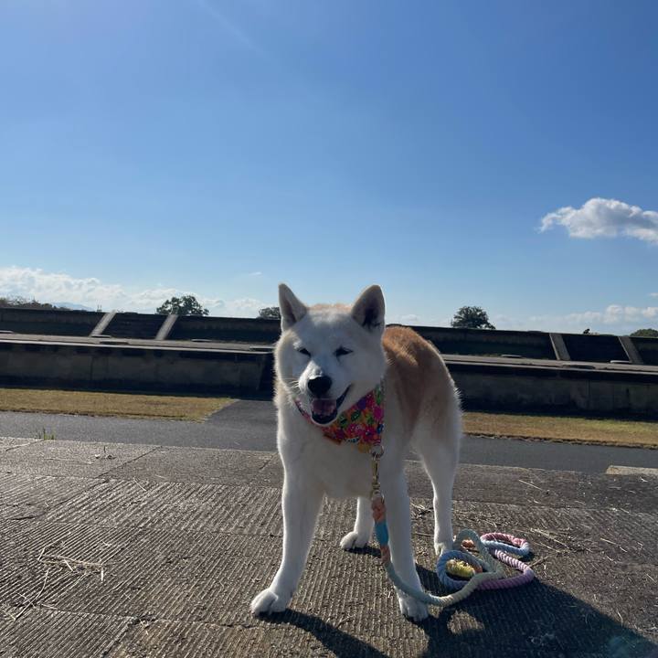 38cfa08d 6946 407f 8279 e9e95057cb39 1667021381693