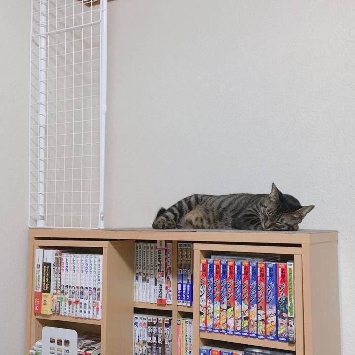 38cfcdfc 7eb3 496a 8be4 995c0f84aaae 1569333559092