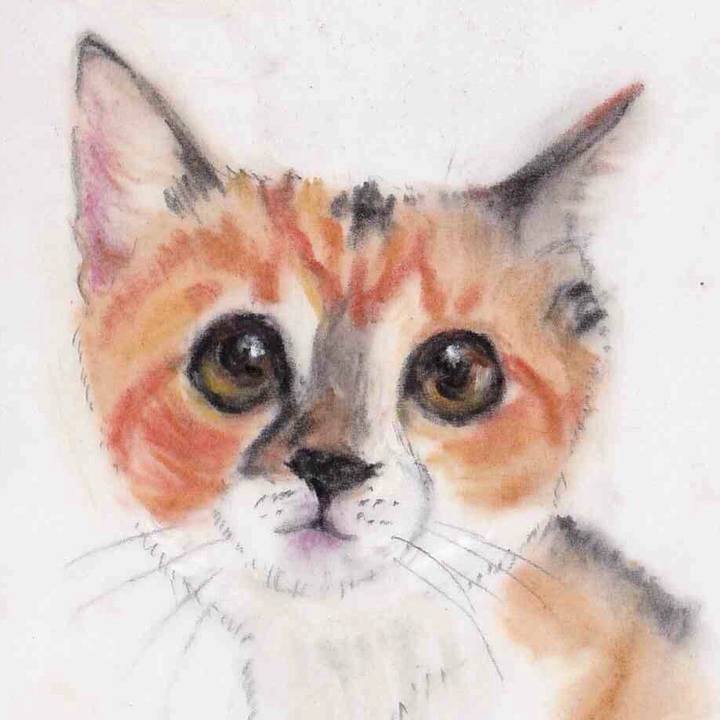 38d02d57 abcc 41bd b9e0 31f65790f8fb 1655512244481