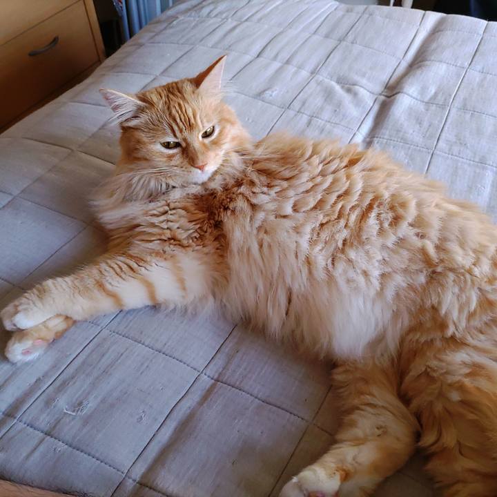 38d03759 4455 4464 8247 bbdd848dfa4f 1656455082715