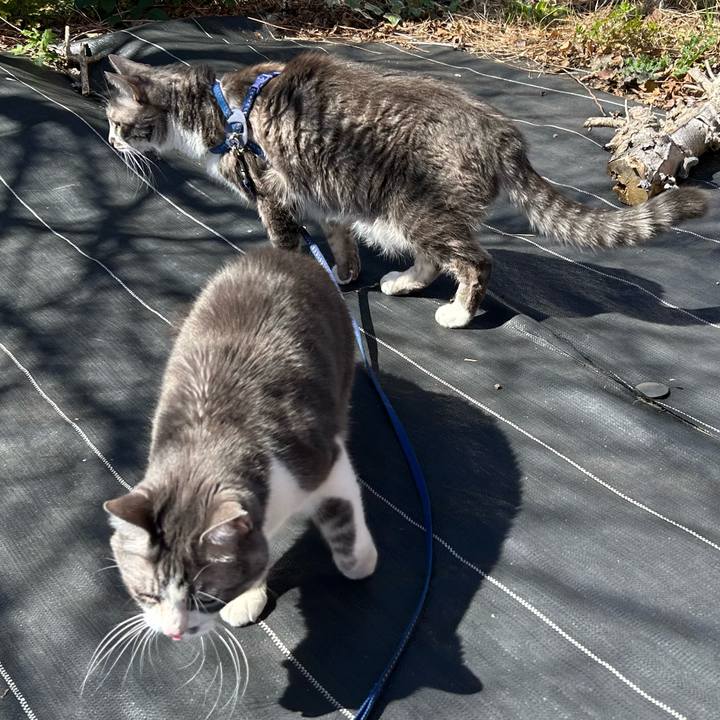 38d05b96 581e 4c1e 8858 b3649f961d94 1773461009743