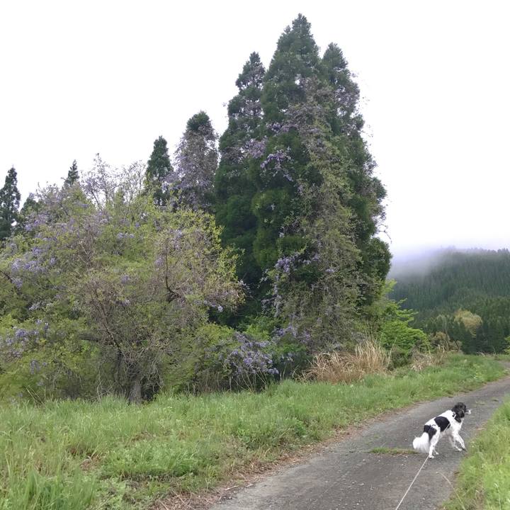 38d0633b 7c03 4816 ac0c 50d2a79adf93 1556604635689