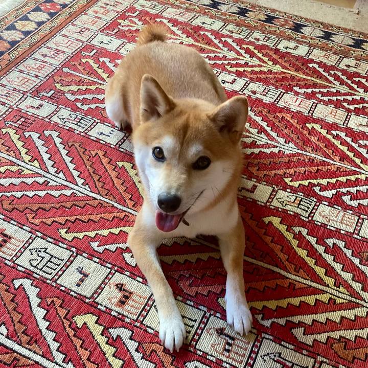 38d083ab 4ae4 435c 8263 9a77997e65e0 1656547477111