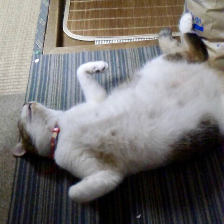 38d0875f 0b8b 4b93 9d70 553dfab56d4b 1534307988597