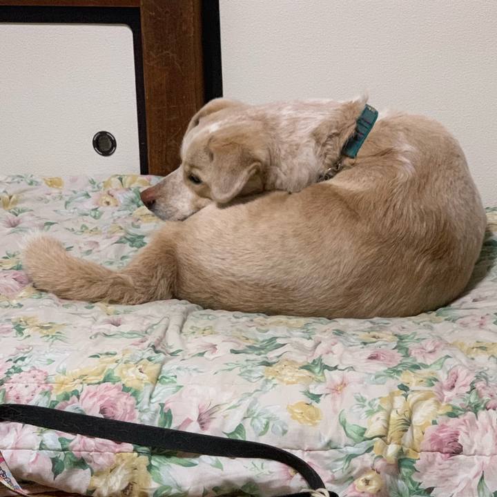 38d0a4e2 576a 44f4 9887 fe77901a4ed8 1555683940135